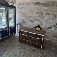 یخچال ویترینی|فروشگاه و مغازه|گنبد کاووس, |دیوار