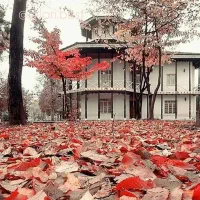 فروش ملک کلنگی / گیلان / بندرانزلی