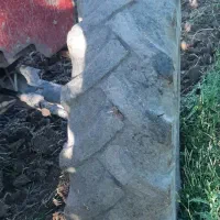 لاستیک جلو فرگوسن