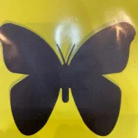 فروشنده اکسسوری