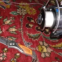 دوعدد  فرش  قدیمی