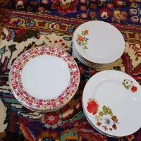 انواع ظروف قدیمی وگلهای آپارتمانی