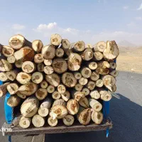 خرید چوب های باغی و میوه ای|خدمات باغبانی و درختکاری|ملایر, |دیوار