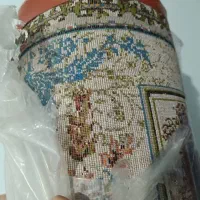 سالم نودوماه انداخته شده