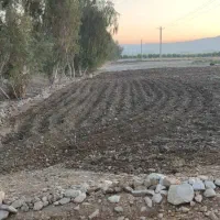 .زمین بر اصلی جاده ریکا|فروش دفتر صنعتی، کشاورزی، تجاری|صالح آباد (ایلام), |دیوار