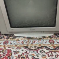 تلویزیون