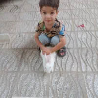 فروش حیوان خانگی