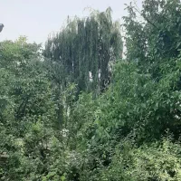 ۱۵۶۰ متر باغ ویلا قدیمی داخل بافت خوروین