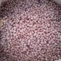 لوبیا چیتی|خوردنی و آشامیدنی|خاوه, |دیوار