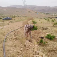 فوقالعاده و ویژه|فروش زمین و ملک کلنگی|شیراز, جوادیه|دیوار