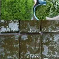 سبزی خورشتی آشی رامهرمز موجوده