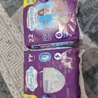 مای بی بی شورتی شماره 6