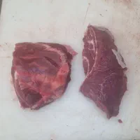 گوشت گوساله خورشتی تازه روز|خوردنی و آشامیدنی|قم, عشقعلی|دیوار