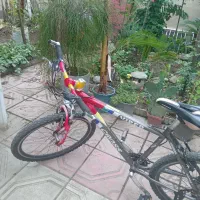 دوچرخه ۲۶ حرفه ای|دوچرخه، اسکیت، اسکوتر|آمل, |دیوار