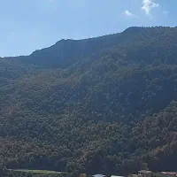 زمین ۴۴۵ متری جنگلی کوهستانی (کاربری مسکونی)