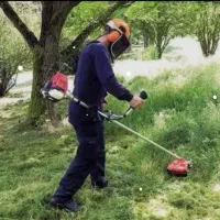 نظافت علف کاشت سبزی