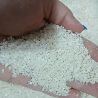 ۲۰کیلو نیم دانه هاشمی عطری