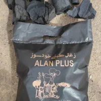 انواع زغال (چینی،کبابی،حبه ای )