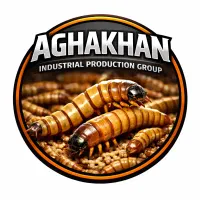 میلورم زنده و خشک عمده و جزئی(آموزش)