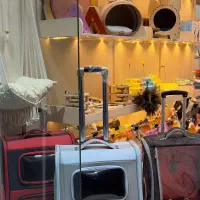 پنــی پت شاپ عبدالمطلب ۲۱