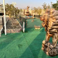 مراقبت از سگ