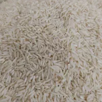 برنج هاشمی گیلان