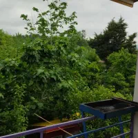 فروش-ویلا-312-متری-ویودار