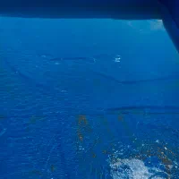 نمایندگی فروش ونصب ورق ژئوممبران استخر ذخیره اب|مصالح و تجهیزات ساختمان|ورزنه, |دیوار