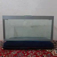 لامپ کارکرده سالم|سایر لوازم برقی|قم, نیروگاه|دیوار