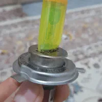 زنون دو کنتاکLenzo|لامپ و چراغ|جوانرود, |دیوار