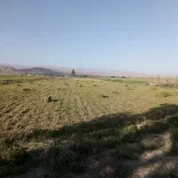 زمین-کشاورزی-سند-تک-برگ-سبز-شش-دانگ-عرصه-وعیان