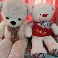 دو عدد خرس بزرگ خارجی