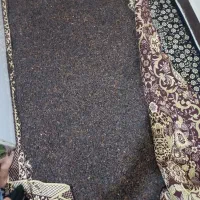 کشمش بی دانه تاکستان ۲۲۰|خوردنی و آشامیدنی|محمدیه-قزوین, |دیوار