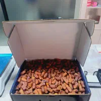 خرما پیارم و مجول محصول حاجی آباد