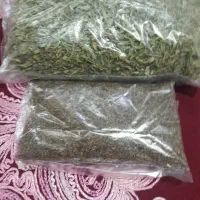 کاکوتی وزیره کوهی
