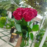 باکس ودسته گل جاوان|گل مصنوعی|خمام, |دیوار