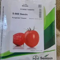 بذر گوجه بری ویو