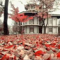 وام ملییاردی باسندملک مسکونی پایان کاردار،شهری