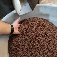 قهوه عمده و پودریجات|عمده‌فروشی|فردیس, فردیس|دیوار