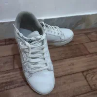 کت وشلوار وجلیقه باکفش