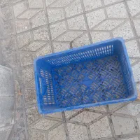سبدپلاستیکی میوه