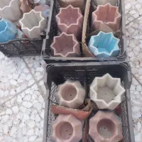 گلدان بتنی وقالب تولید|گل و گیاه طبیعی|پیر بکران, |دیوار