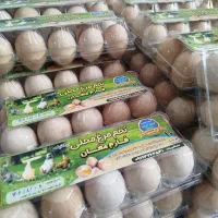 تخم مرغ محلی|خوردنی و آشامیدنی|پارسآباد, |دیوار