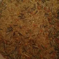 خوراک مخلوط درجه یک طوطیسانان کیلویی ۹۵ هزارتومن|لوازم جانبی حیوانات|سیستان, |دیوار