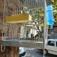 قفس غلامی مخصوص سهره