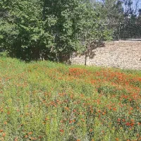 باغ ۶۵۰ متر کوهسار
