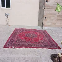 یک تخته فرش دستباف|فرش|ورامین, شهرک ولیعصر|دیوار