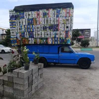 کارتون موزی برای اساس کشی صادرات|عمدهفروشی|اردبیل, |دیوار