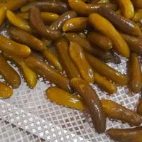 خیارشور