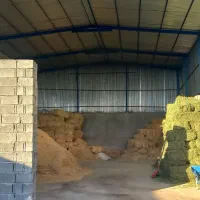 اجاره گاوداری بزرگ و مجهز|اجارهٔ دفتر صنعتی، کشاورزی، تجاری|مرودشت, محمد آباد|دیوار